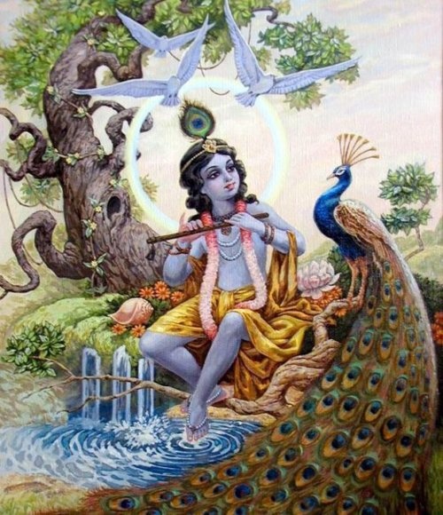 1453 - NAS ONDAS DE KRISHNA - O MESTRE DOS DARMAS